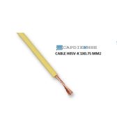 Cáp Tín Hiệu Lapp Kabel 4510112 CABLE H05V-K 1X0.75 MM2 YEL